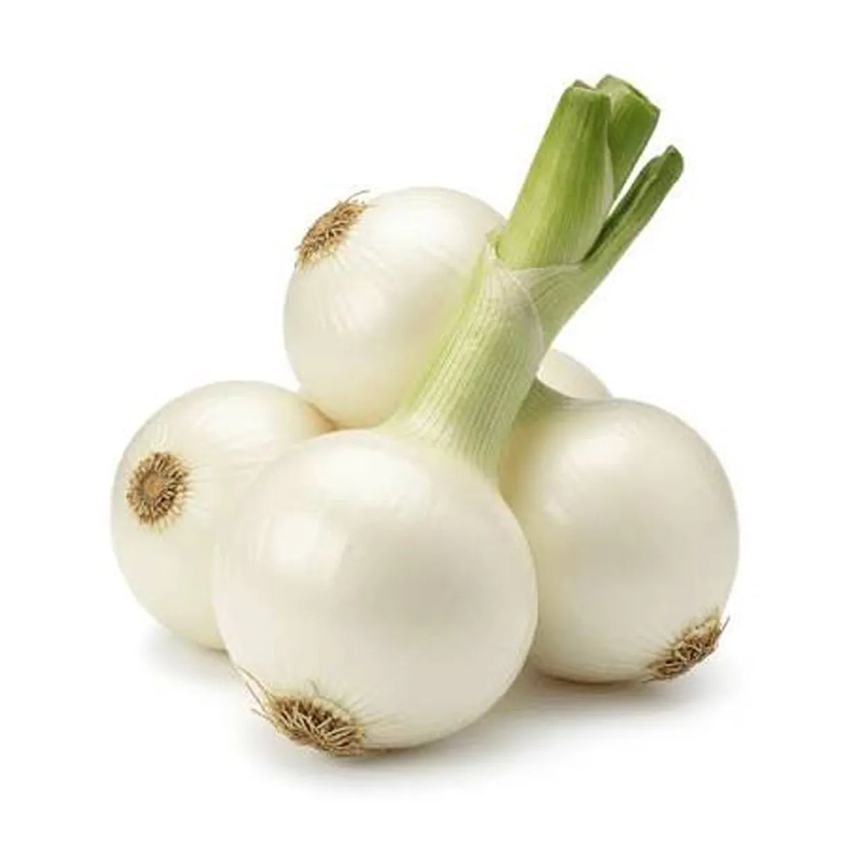 Onion White