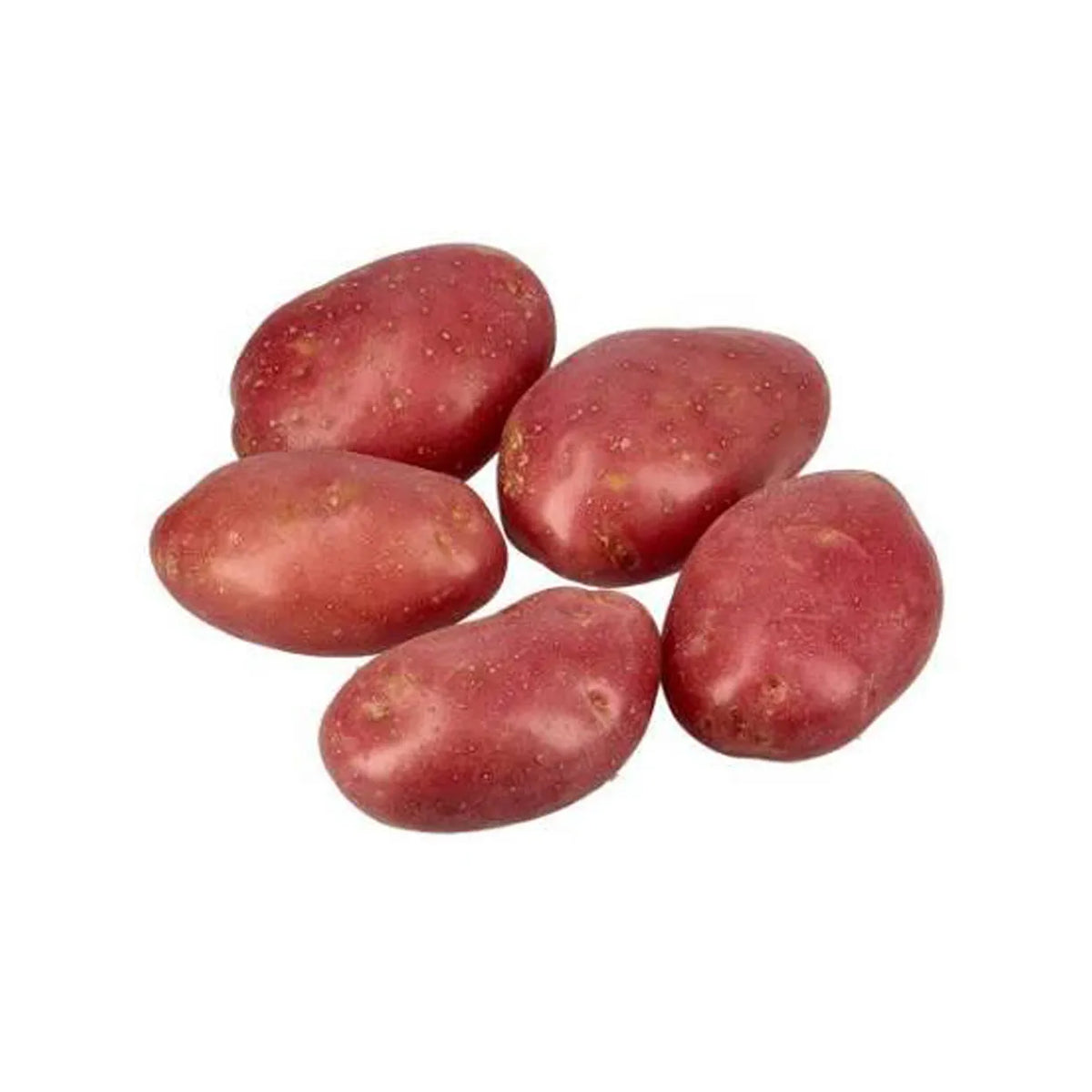 Potato Red Washed