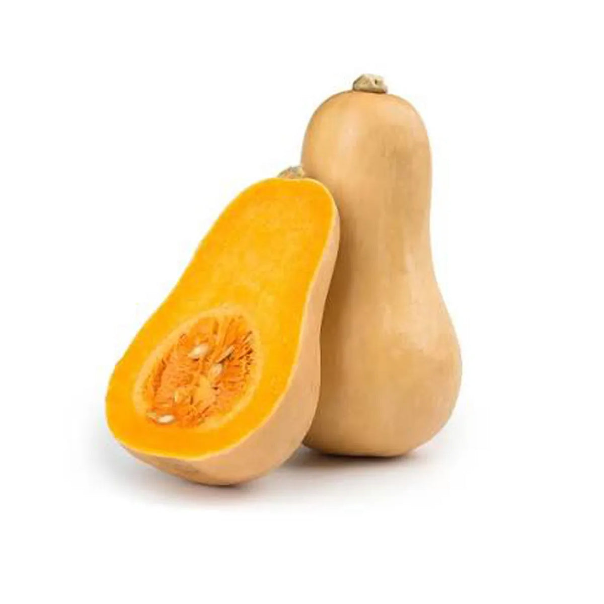 Pumpkin Butternut
