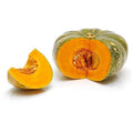 Pumpkin Kent