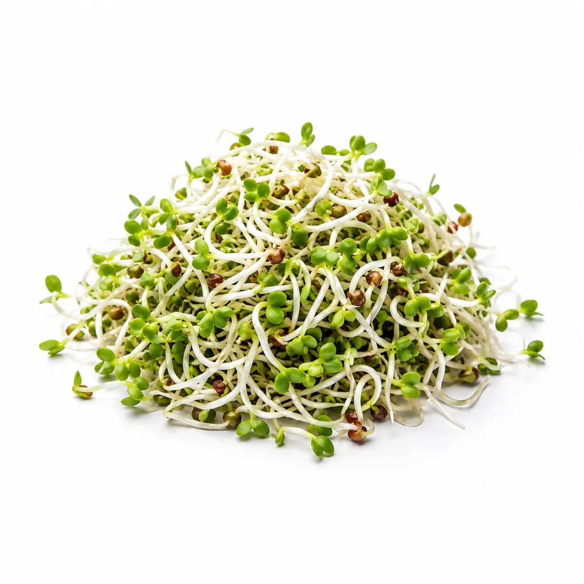 Radish Sprouts (Bag)