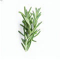 Rosemary (Bunch)