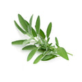 Sage (Bunch)