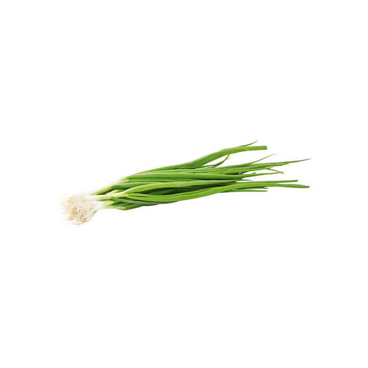 Spring Onion (Bunch)