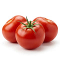 Tomato Gourmet