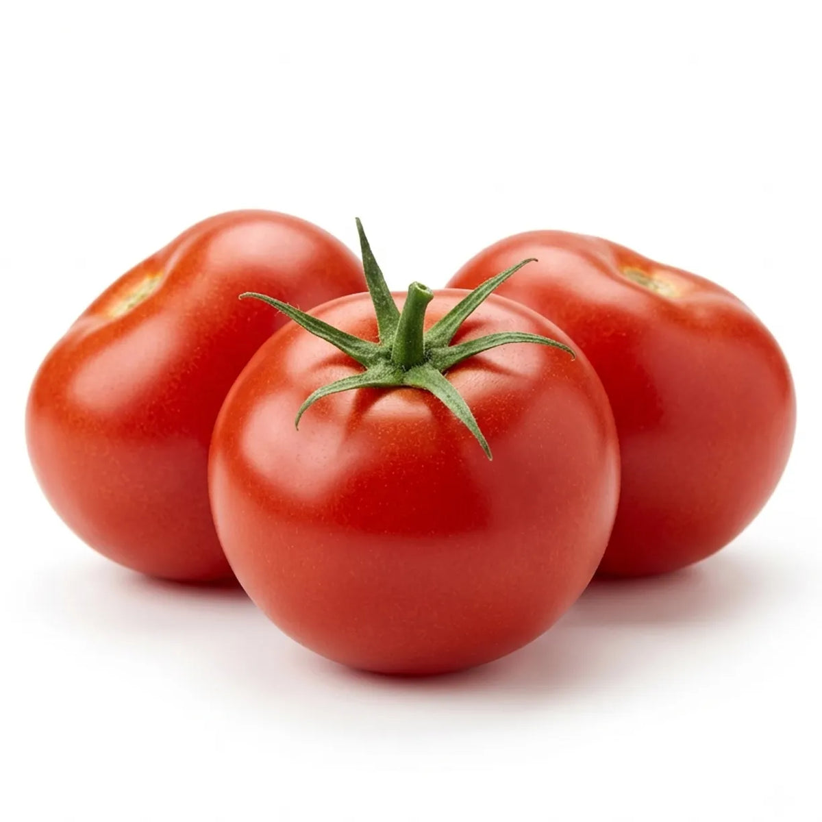 Tomato Gourmet