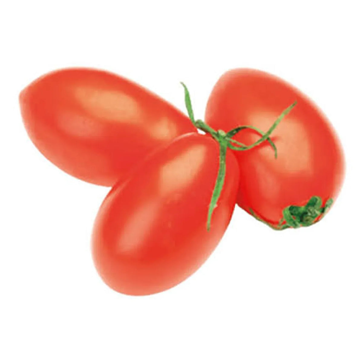 Tomato Roma