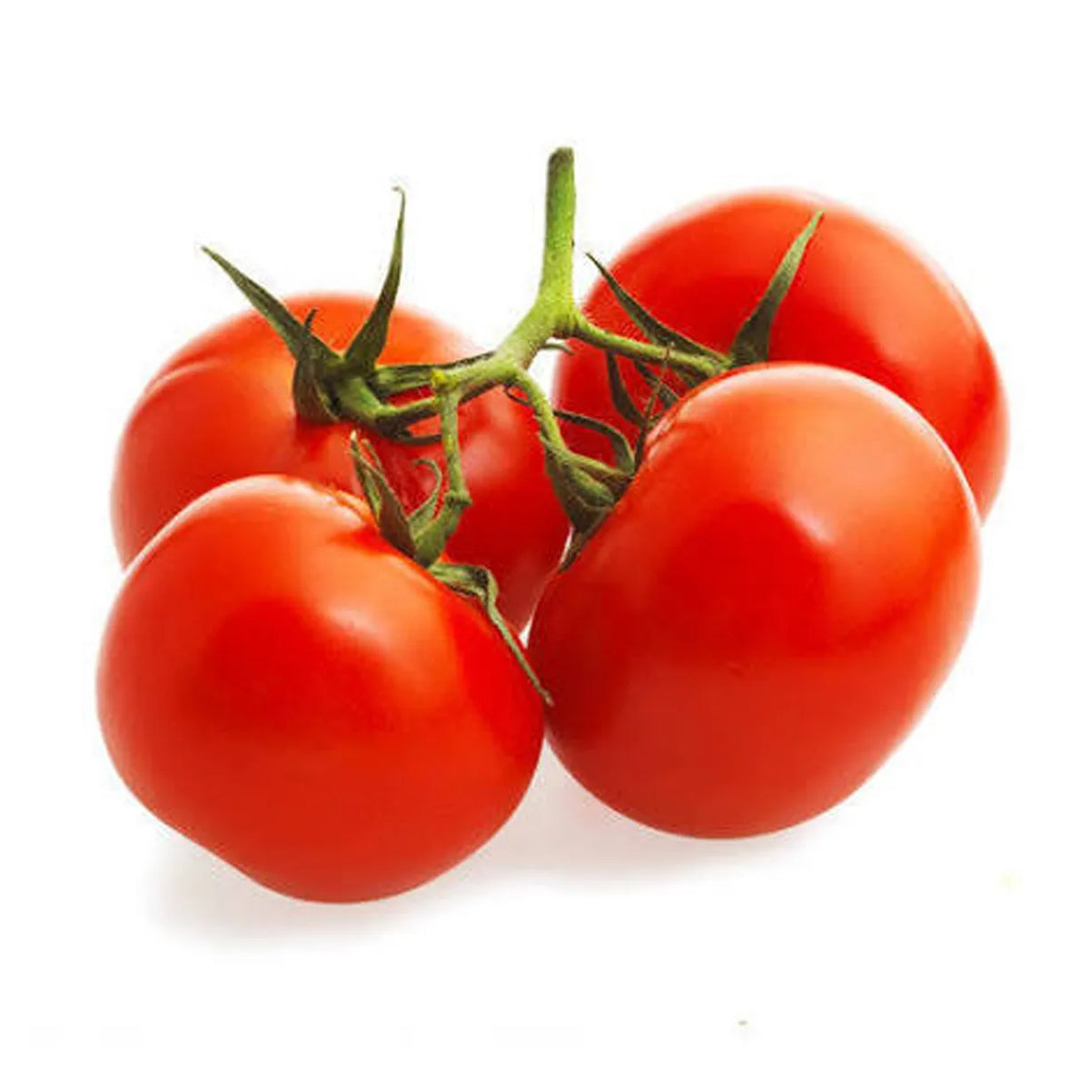Tomato Truss