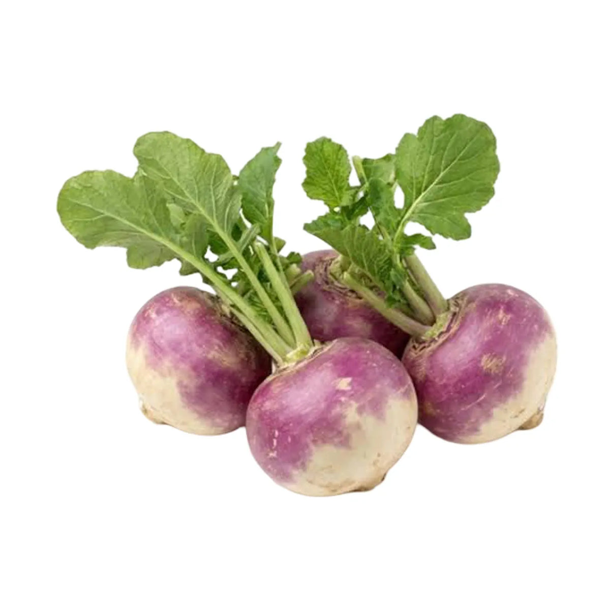 Turnip (Bunch)