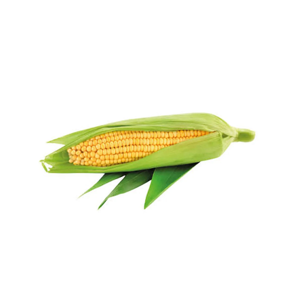 Corn