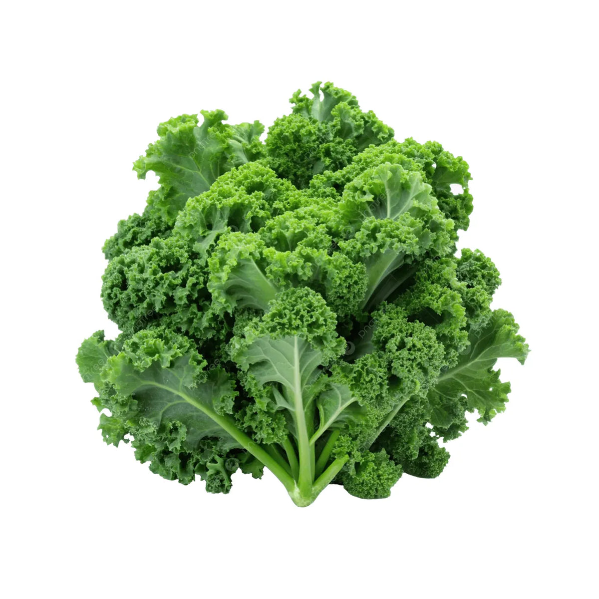Kale Green (Bunch)