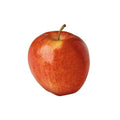 Apple Gala