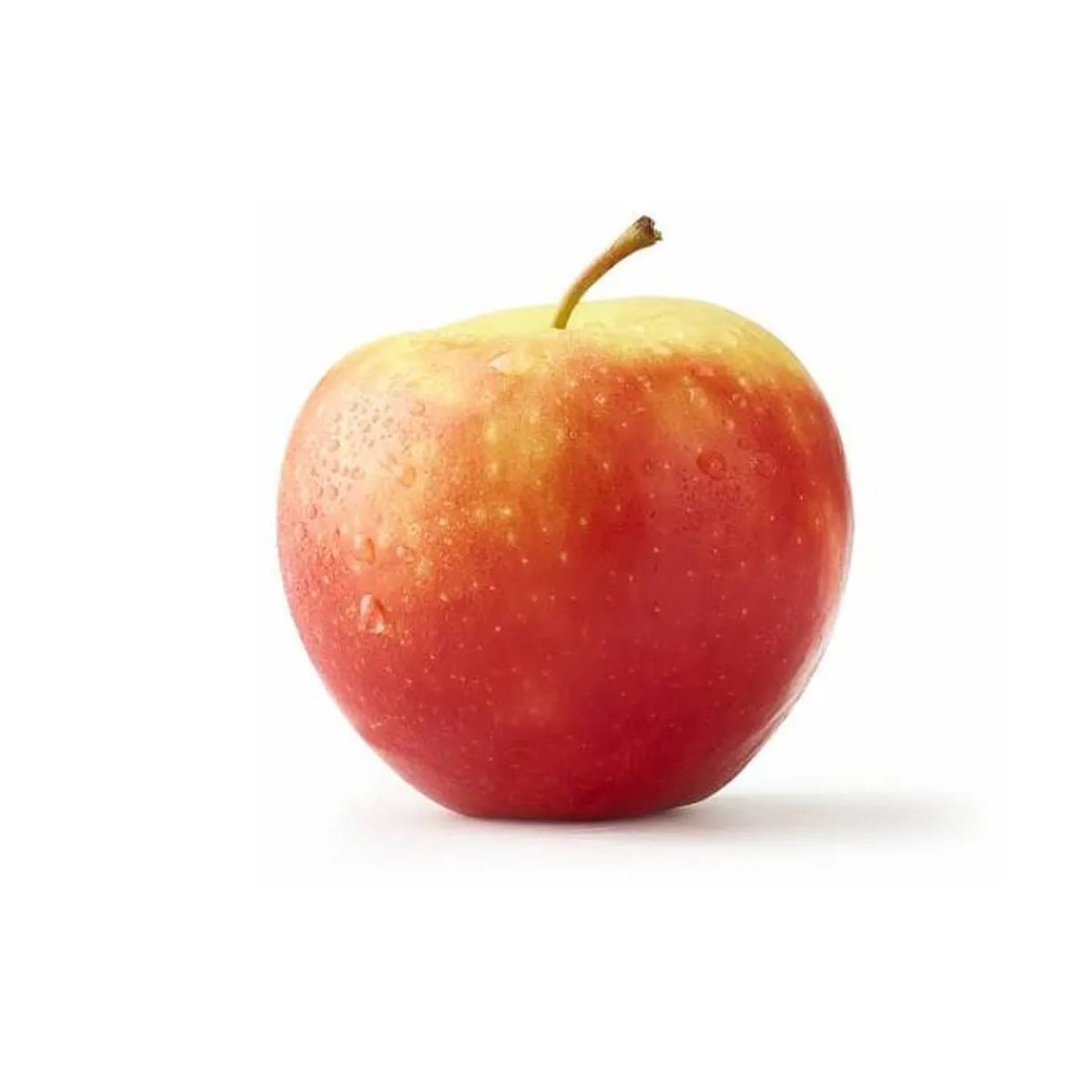 Apple Kanzi