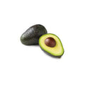 Avocado Hass