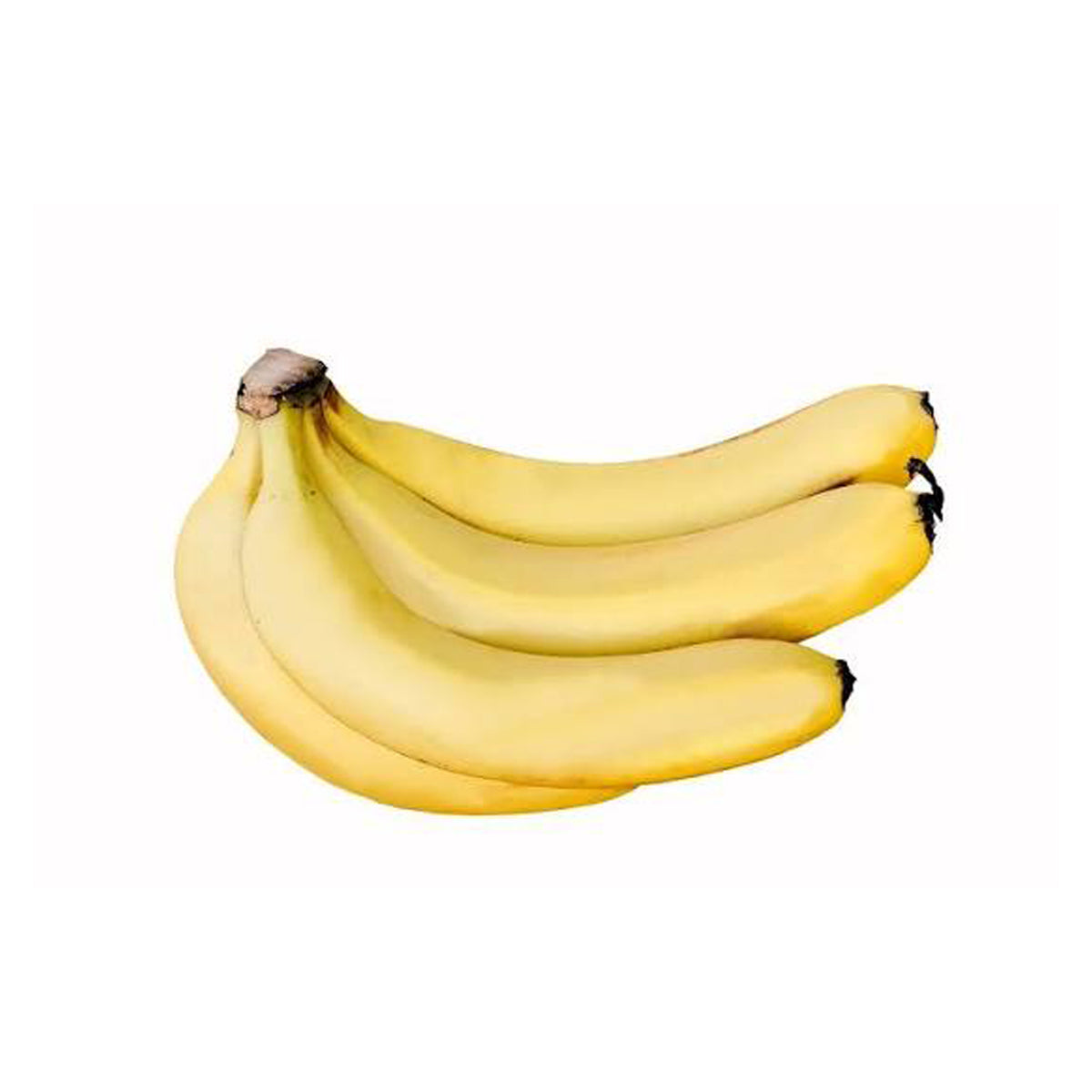 Banana Cavendish