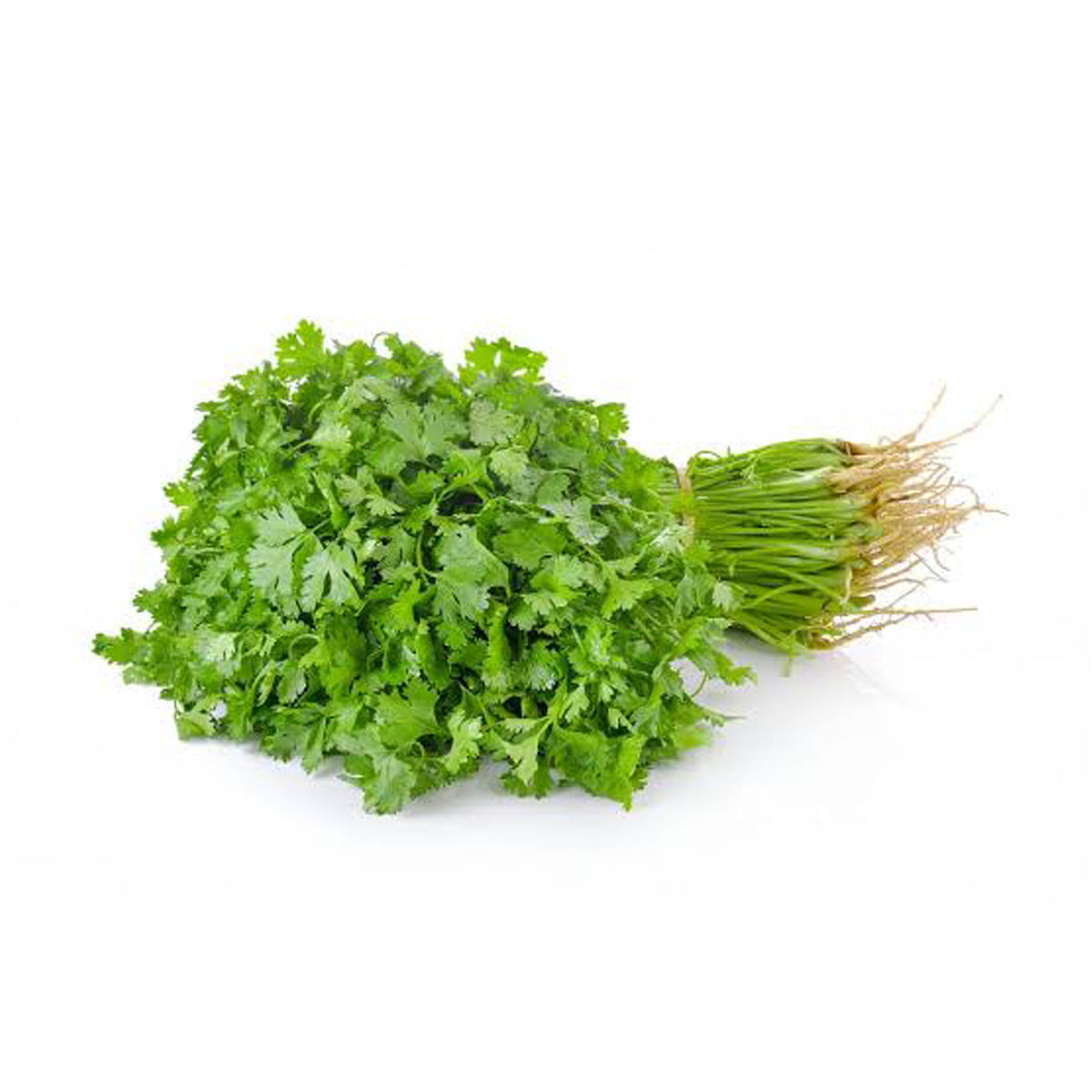 Coriander (Bunch)