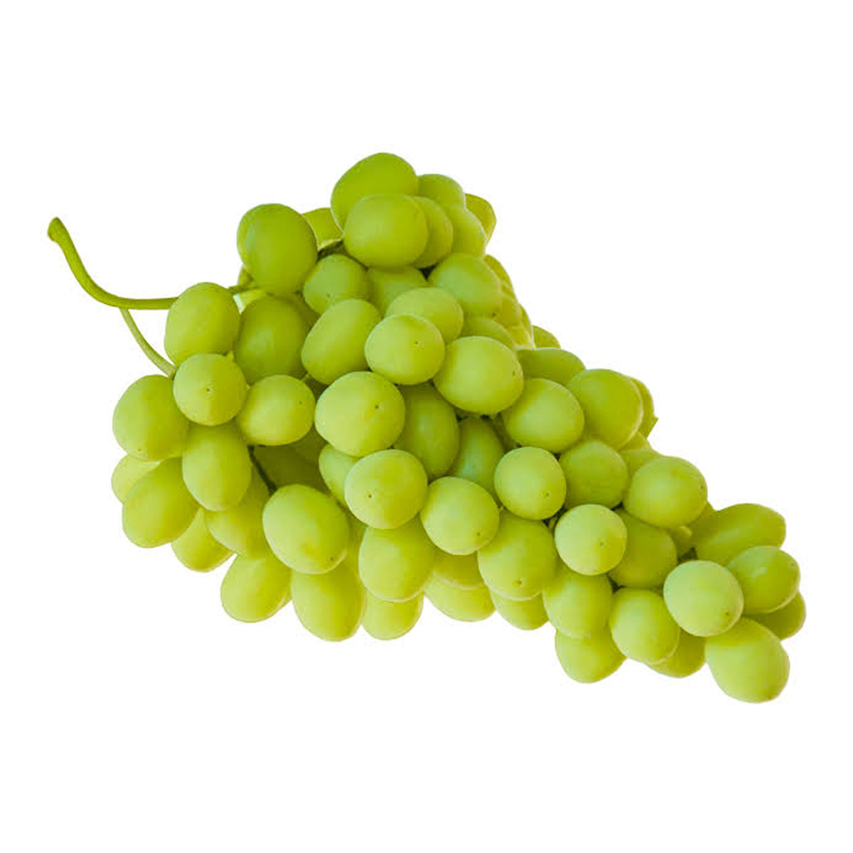 Grapes Sweet Globe