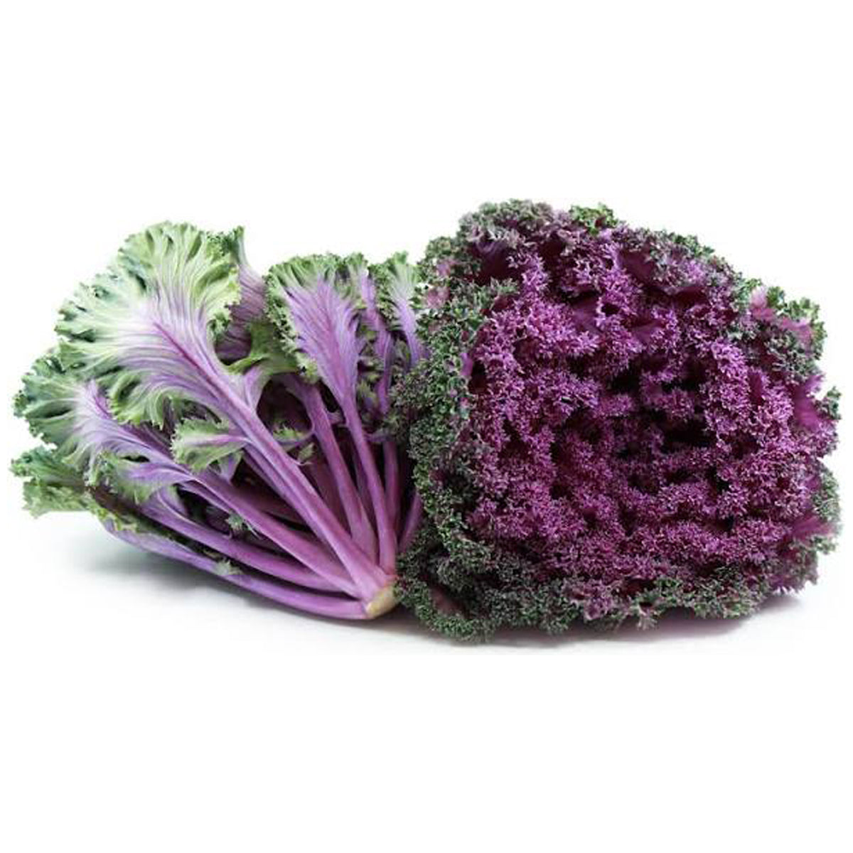 Kale Purple (Bunch)