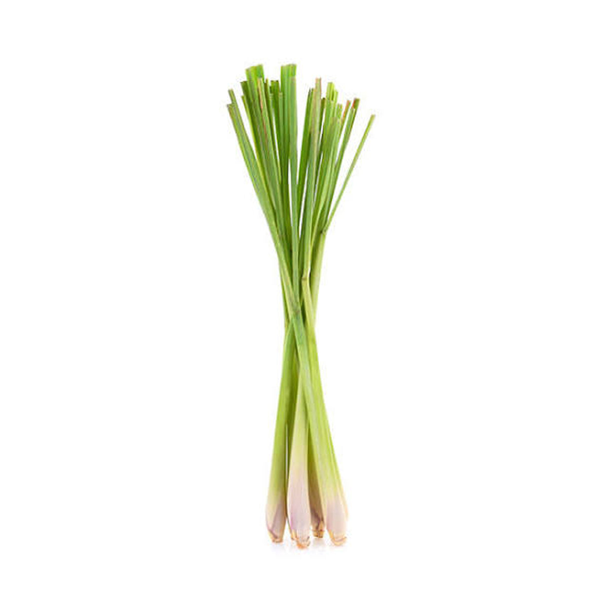 Lemongrass (Bunch)