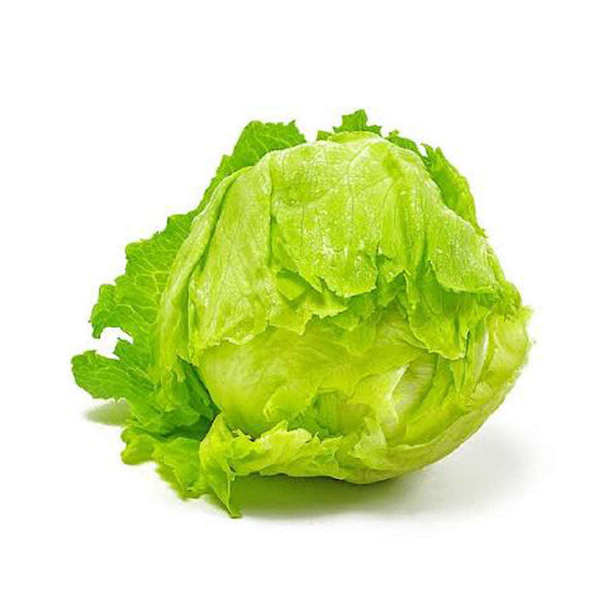 Lettuce Iceberg (Piece)