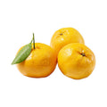 Mandarin Imperial