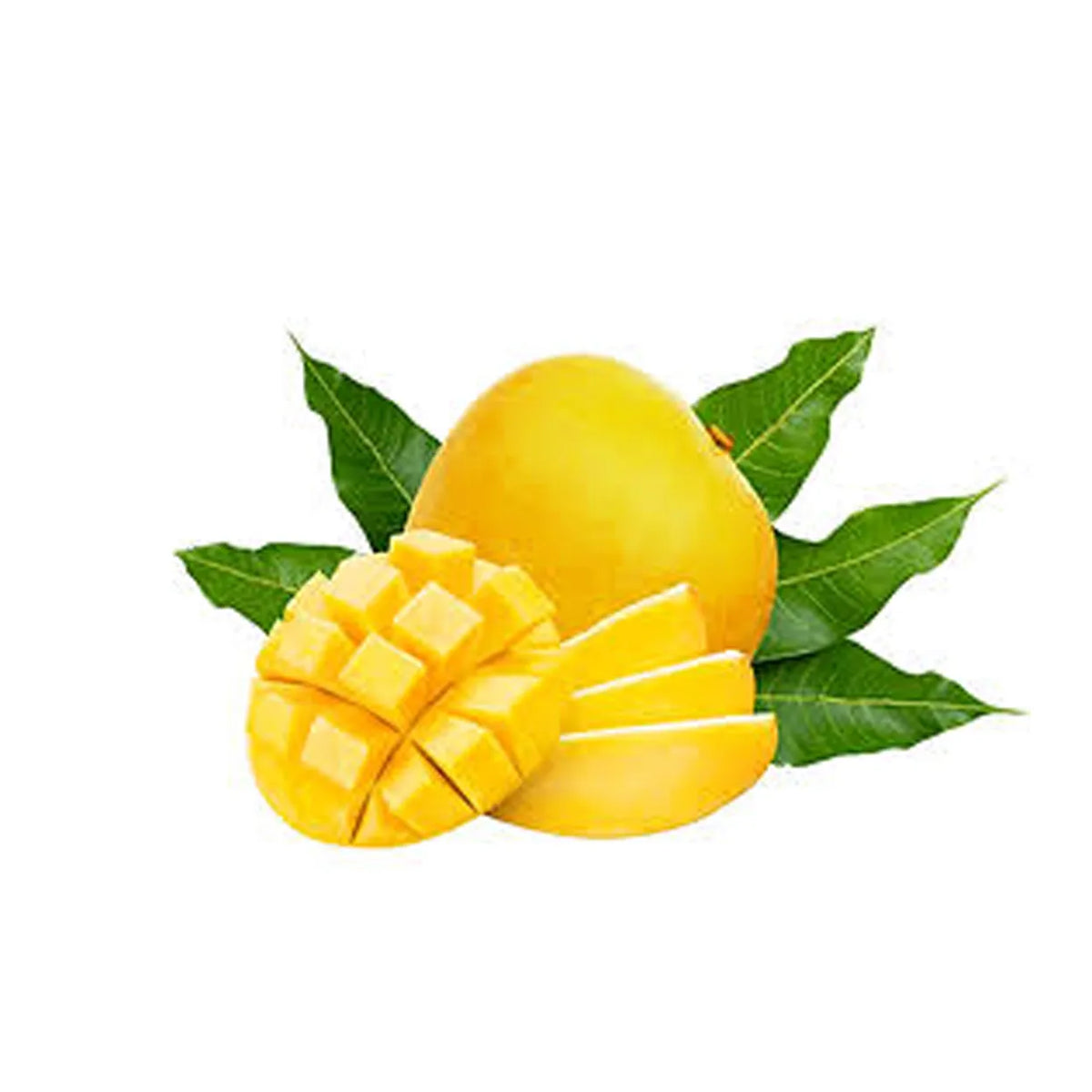 Mango Kensington Pride