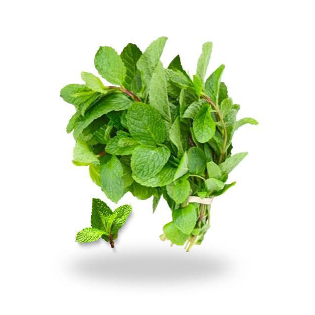 Mint (Bunch)