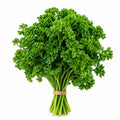 Parsley Curly (Bunch)
