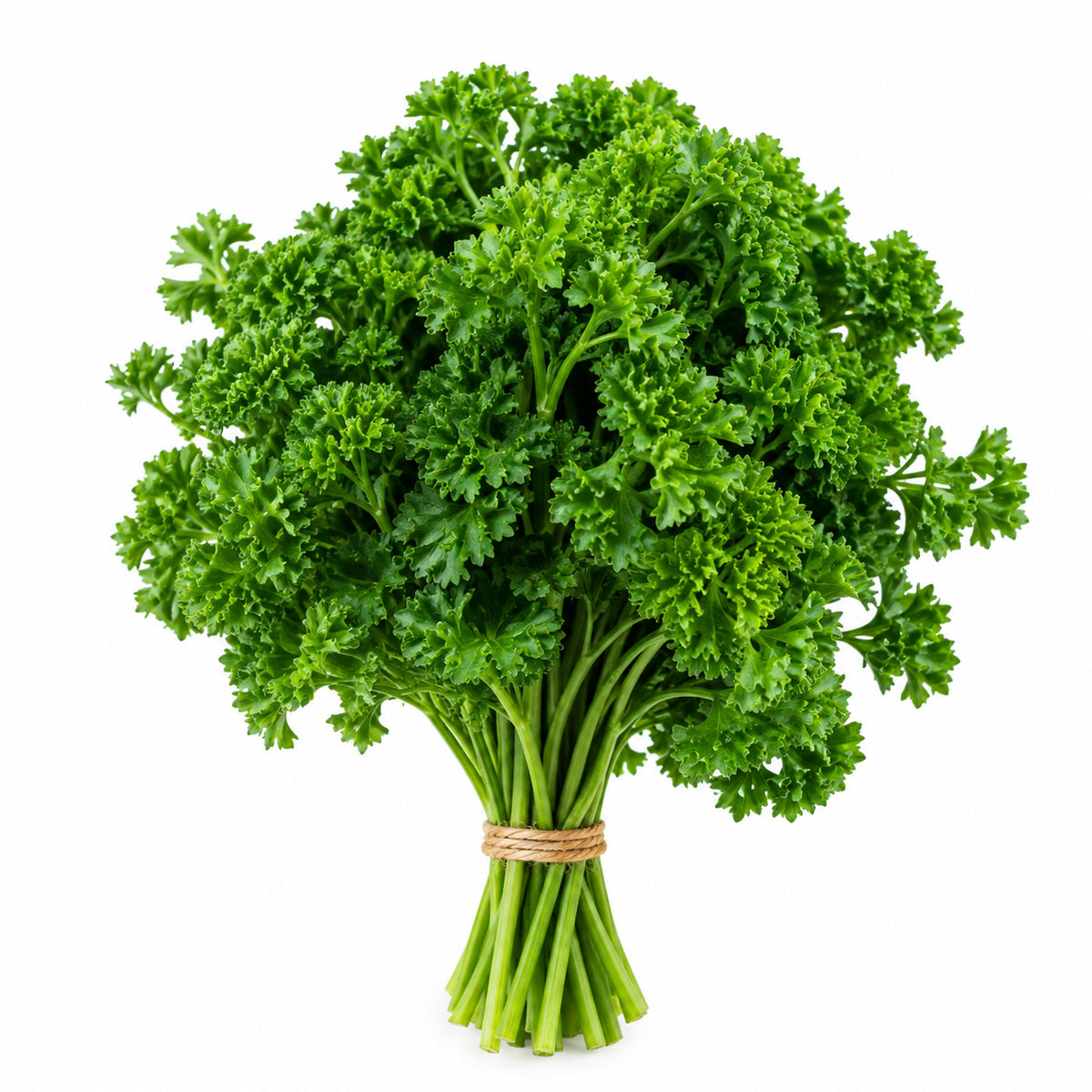 Parsley Curly (Bunch)