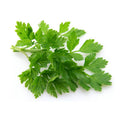 Parsley Flat Leaf (Bunch)