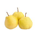 Asian Pear (Nashi)