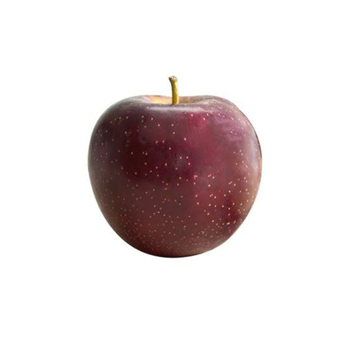 Apple Bravo